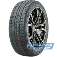 Doublestar WINTERKING DW16 205/55 R17 95T XL